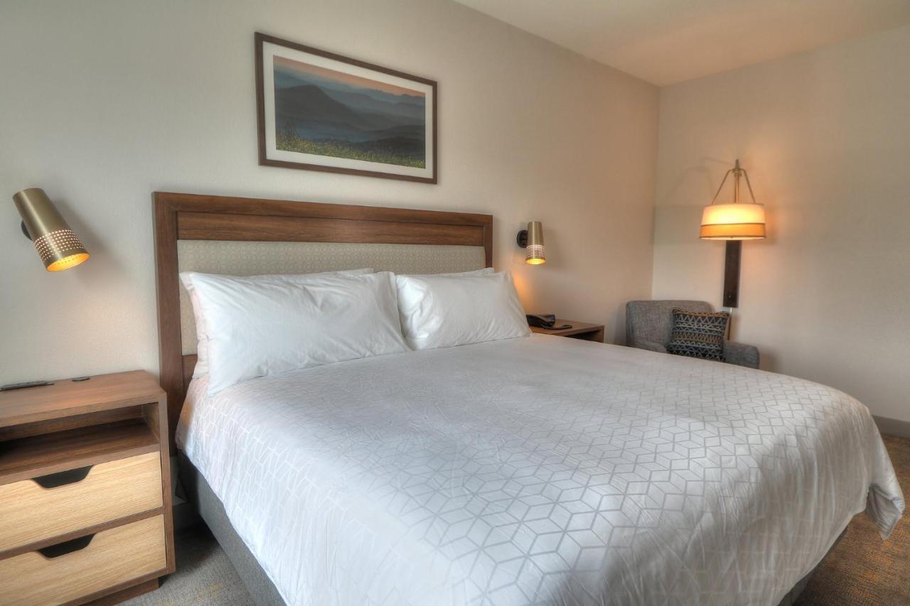 Holiday Inn & Suites Pigeon Forge Convention Center, An Ihg Hotel Exteriör bild