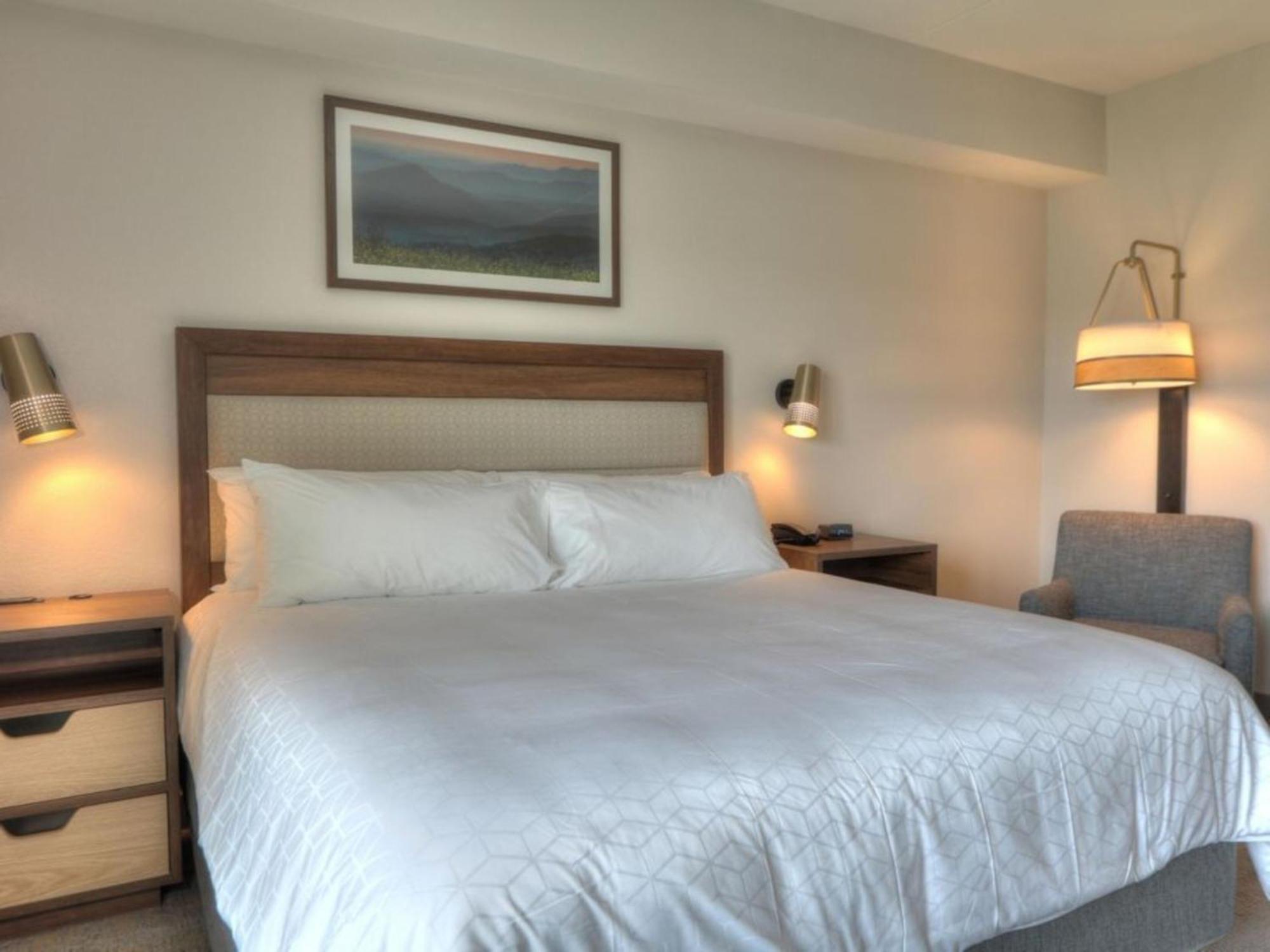 Holiday Inn & Suites Pigeon Forge Convention Center, An Ihg Hotel Exteriör bild